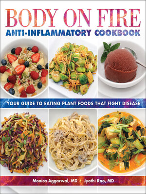 cover image of Body on Fire Anti-Inflammatory Cookbook